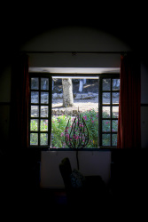 through a wooden lattice window of the elafos hotel on rhodes you see blooming oleander
