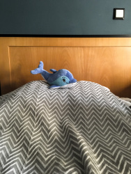 a little blue travel-dolphin lays on the pillow in the savoy hotel in piraeus