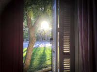 in the hotel acropolis vision in athens behind red curtains and white wooden shutters you see shining the morning sun