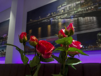 fresh red roses are standing in front of a photo of cologne in the bar oft the cityclass hotel heumarkt in cologne