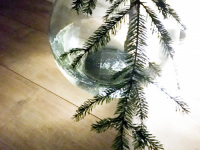 a fir branch in a glass balloon on a light wooden floor