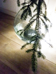 a fir branch in a glass balloon on a light wooden floor