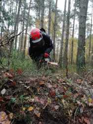 self-portrait after felling a tree