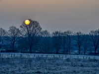 behind a winter landscape with fields and bare oak trees you see the morning sun like a yellow ball