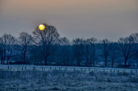 behind a winter landscape with fields and bare oak trees you see the morning sun like a yellow ball