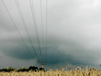 under a dark cloudy sky power lines are leading over a yellow barley field