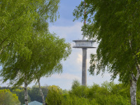a red piaggio ape 50 is driving on a lonely street along some birch trees straight to a television tower