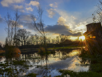 the bank is reflecting in the river and the sun peeks out behind a trunk tree