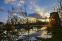 the bank is reflecting in the river and the sun peeks out behind a trunk tree