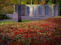 behind a hedge with red berries you see the monument for fallen soldiers on a cemetery