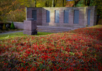 behind a hedge with red berries you see the monument for fallen soldiers on a cemetery