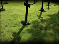 black crosses of a cemetery casts shadows on a green weadow