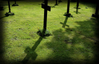 black crosses of a cemetery casts shadows on a green weadow