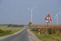 a road between agricultural fields with wind turbines