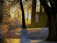 the early november morning sun is shining in a park