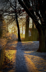 the early november morning sun is shining in a park