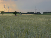 far behind a green rye field there are wind turbines and a cabrio drives on a little road