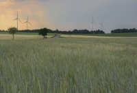 far behind a green rye field there are wind turbines and a cabrio drives on a little road