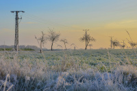 hoarfrost covered meadows and electricity pylons on a sunny november morning