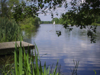 you see a blue lake, a footbridge, green plants and two sailboats on the lake
