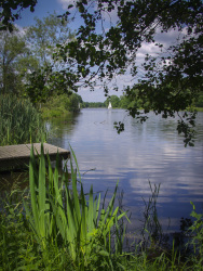you see a blue lake, a footbridge, green plants and two sailboats on the lake