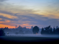 at an early winter morning you see the sunrise and trees between fog