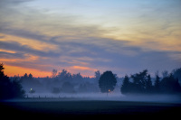 at an early winter morning you see the sunrise and trees between fog