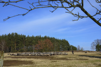 in a autumnal heath landscape there is a shepherd with his sheeps