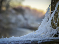 a frosty spider web in the light of the winter evening sun