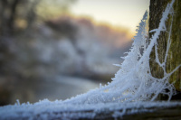 a frosty spider web in the light of the winter evening sun