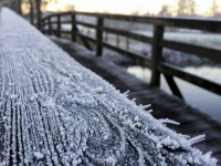 the frosty railing of an old wooden bridge on a cold december day