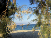 the view through tamarisks of a lonely parasol at the beach of the gulf of corinth