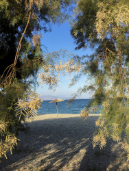 the view through tamarisks of a lonely parasol at the beach of the gulf of corinth