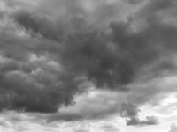a heathland landscape at a strong cloudy sky, black-and-white