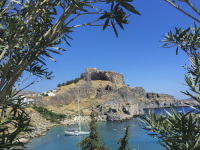 through oleander bushes you see the acropolis of lindos on rhodes