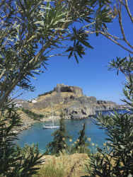through oleander bushes you see the acropolis of lindos on rhodes