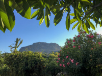 the mountain profitis ilias on rhodes is framed by frangipani, oleander and orange trees