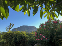 the mountain profitis ilias on rhodes is framed by frangipani, oleander and orange trees