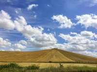 a hill with yellow grain fields under a blue sky with white clouds in puglia in italy
