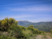 behind big yellow gorse bushes extends a greek mountain landscape