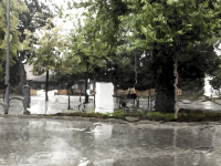 forgotten the windshield wipers and I look on a rainy landscape with trees and benches