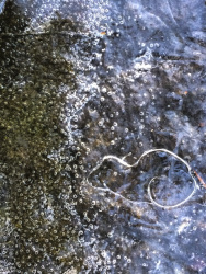 a thick layer of ice was building a little artwork