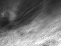 far away at a wild cloudy sky you see migratory birds and a plane, black-and-white