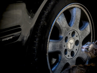 a cat who passed by a mercedes benz avantgarde turns around again and looks at the car