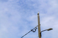 from the top of a lamppost a seagull is looking in the landscape