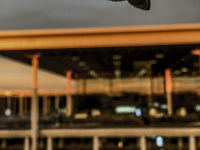 a moth is sitting on a window pane in front of the airport building berlin