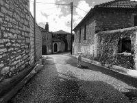 a white dog is standing in a lonely alley in the greek village doliana in epirus, black-and-white