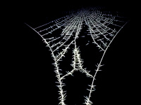 a wonderful frozen spider net, black-and-white