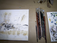 a dozen of paint brushes and two little painted canvas