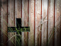 filigree grasses and ab black metal cross in front of a wooden wall